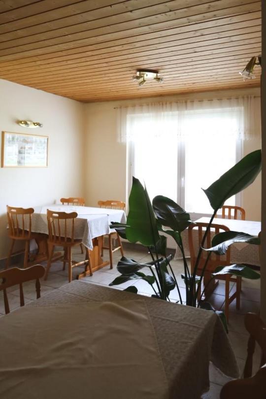 Apartments-Rooms Kocijancic Bled Bagian luar foto